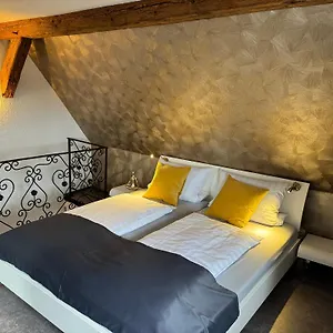 #stadtspeicher - Goldener Stern In Der Altstadt Apartment